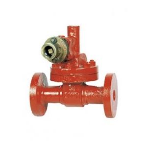 Sant Cast Steel Parallel Slide Blow Off Valve 65 mm, CS 4